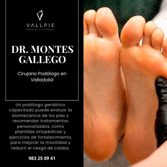 Proyecto web SEPOD por OlgaComunicación