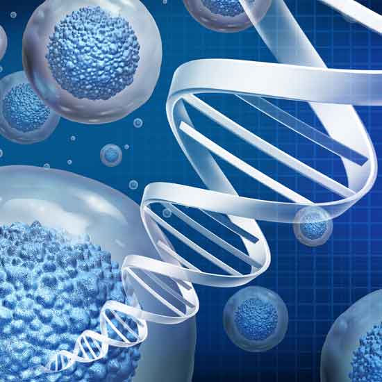 Terapias Regenerativas que son las terapias regenerativas. Las terapias biológicas son tratamientos que emplean materiales derivados del cuerpo humano o de origen biológico para reparar y regenerar tejidos.