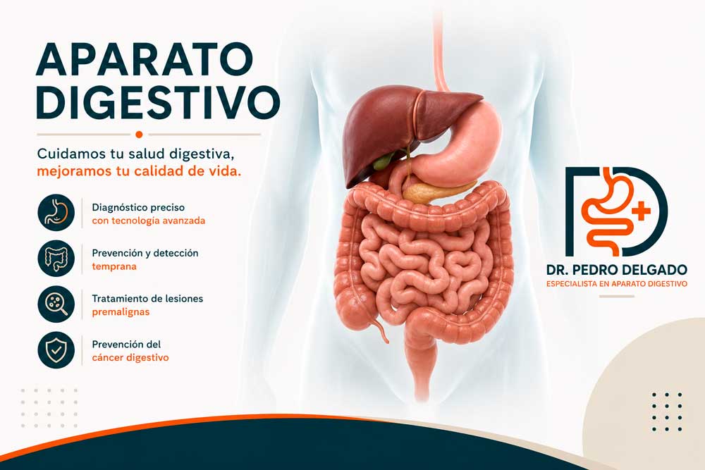 Cuidado del aparato digestivo y tratamiento de patologías digestivas