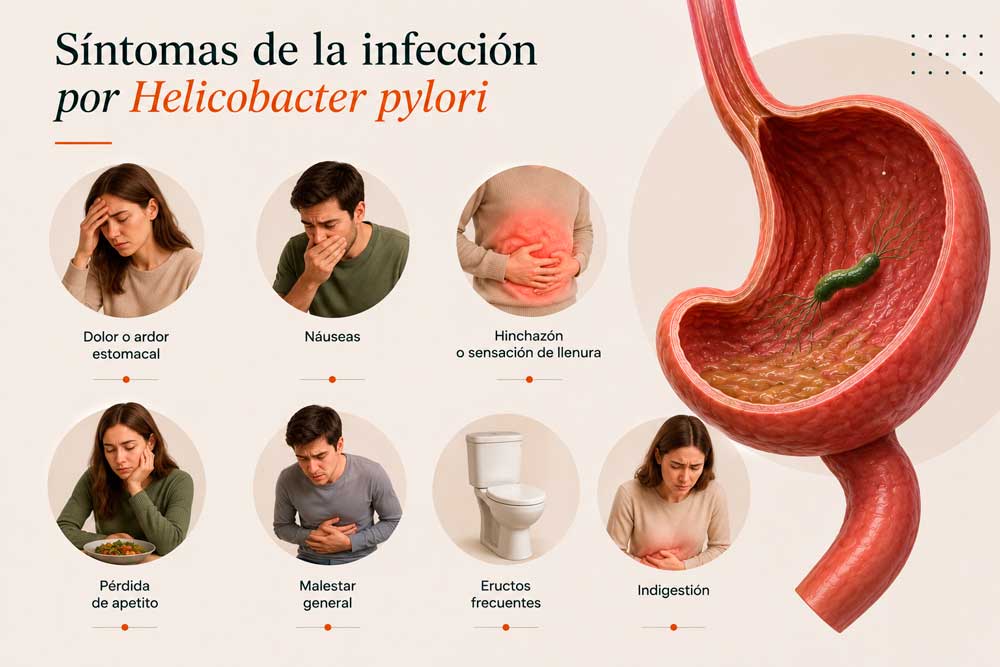 Los síntomas del Helicobacter pylori que debes conocer